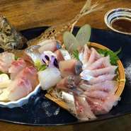 日間賀島・師崎港より毎日届く鮮魚は厳選の品揃い。旬ごとのおいしいお刺身を毎日ご用意しています！