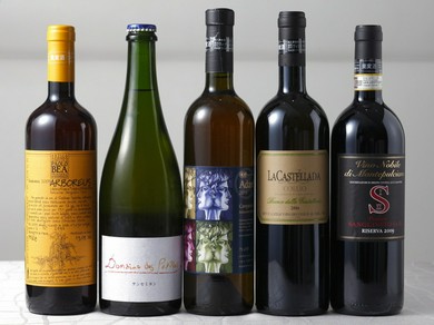 はじめてならば料理×ワインのペアリングがおすすめ