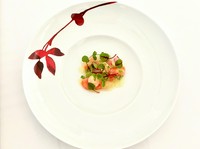 鱒のマンテカート グレープフルーツとエストラゴンのジュレ