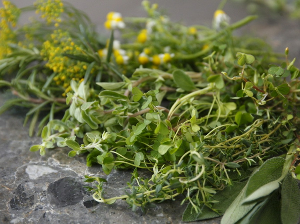 種類豊富なハーブで、各地の旬の味を一皿に凝縮。