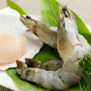 鮮魚ならではのプリッとした食感がたまらない「海老」や、濃厚な旨みが凝縮した「帆立」。鉄板で焼くことで魚介の美味しさがさらに引き立ちます。
