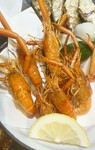 大将の夏到来!!
高知の川海老ありますよ♪