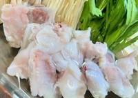 熊本県天草産の高品質なフグを使用した『特選フグ会席』