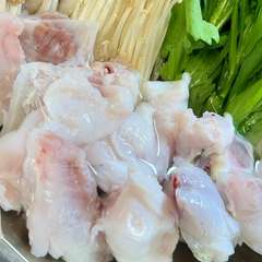 熊本県天草産の高品質なフグを使用した『特選フグ会席』