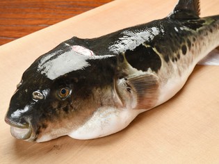 一にも二にも「天然のとらふぐ」。2.5～3キロのものを使用