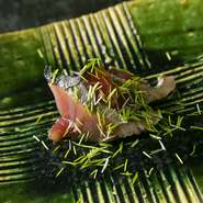 脂ののった戻りがつおを藁で炙り、辛子醤油に和え葱を散らして。焼物などはなく、つまみは寿司に通じるものばかり。