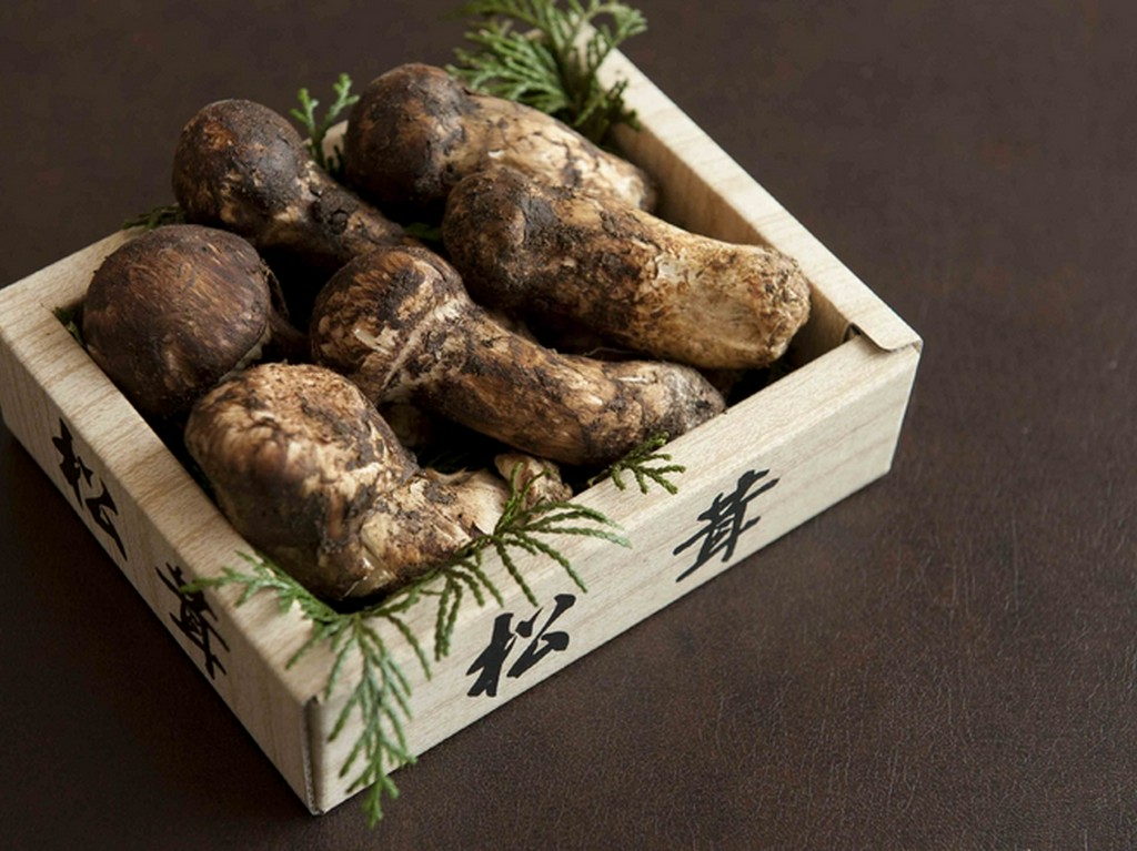 秋の限定メニューを彩る薫り高い「松茸」