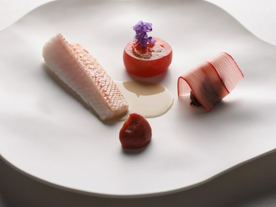 浸透 / キンキ  トマト  ルバーブ