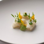 ヴェルヴェット / 烏賊  レモンコンフィ  カモミール