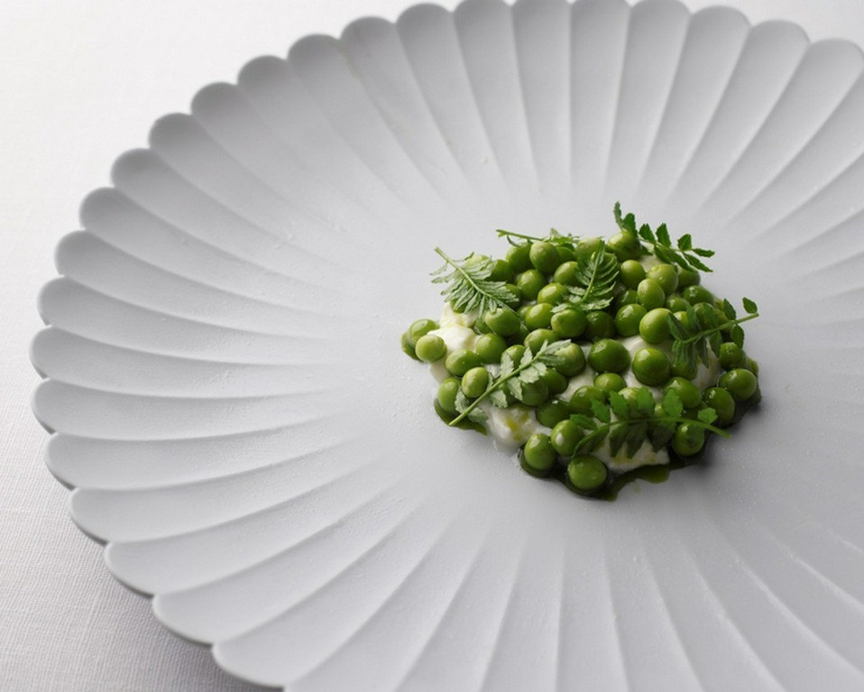 兆し/ 豆  羊乳  木の芽