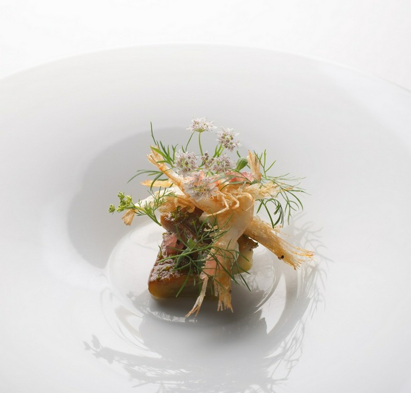 素体 / 茄子  白エビ  フェンネル