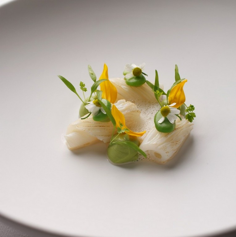 ヴェルヴェット / 烏賊  レモンコンフィ  カモミール