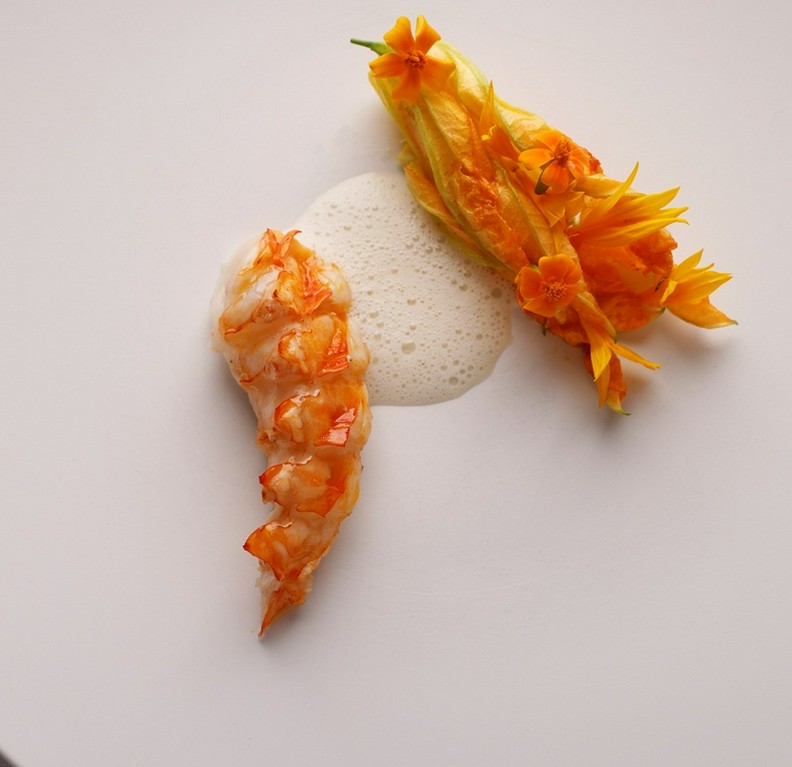 光 / 伊勢海老  花ズッキーニ  ひまわり