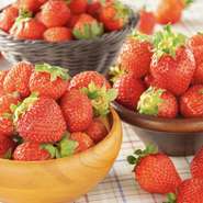 お母さんに、毎日の感謝を込めて。お母さんと一緒にル・トロワでステキな時間を過ごそう！

新鮮な国産いちごが食べ放題に！！
さらにハーゲンダッツ＆ジェラートの食べ放題付き！ビュッフェ料金にプラスでご利用いただけます。（+869円）

＜ビュッフェ＞
平日　1,898円バリュー(19:30～)　1,698円(税込)
土日祝1,998円バリュー(19:30～)　1,798円(税込)
