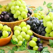 ル・トロワの、秋のおすすめはコレ！美味しいものがなんでも見つかる！

〈ビュッフェ〉シャインマスカット＆巨峰食べ放題
旬のシャインマスカットと巨峰が食べ放題できます。毎年人気のあるメニューです。

＜ビュッフェ＞
平日　1,898円バリュー(19:30～)　1,698円(税込)
土日祝1,998円バリュー(19:30～)　1,798円(税込)
+1,078円