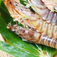 ☆突き出し
☆サラダ
☆焼野菜
☆黒毛和牛肉フィレ120ｇ
☆お食事
　・神戸ライスの白ご飯
　・赤だし
　・香の物
☆アイスクリーム
☆コーヒー又は紅茶