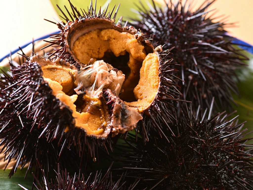 函館近海をメインに国産にこだわった生ウニ