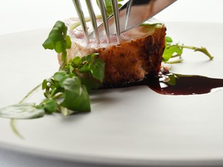 京都周辺の良質な食材を、できる限り自ら採りに行きます