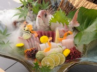 愛媛西条・内子を中心とした獲れたて新鮮野菜と根菜の地野菜を色鮮やかに盛り付けた、太陽と風で育った元気な野菜本来のおいしさをお楽しみ下さい。