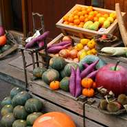 「自社野菜農園」を持ちシェフ自ら栽培を行っているそう。その日に使う野菜をその日に収穫するため、新鮮な旬の野菜をいただけます。野菜それぞれが持つ強い旨みや甘みを、シェフの熟練技が光る料理で堪能。
