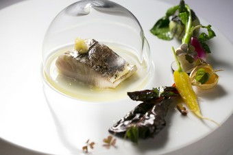 魚料理より『サワラの腹身ミキュイ炙り焼き、塩レモンと冷燻オイル』