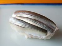 晩夏が旬。コハダの幼魚である『シンコ』