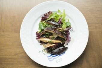 北海道中標津産しいたけ　想いの茸