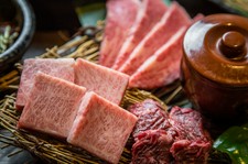 女性にオススメ！　レディースセット／シンキ王道！　シンキセット