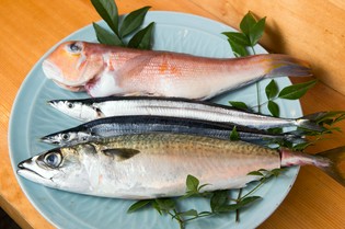 京料理に欠かせないグジと、季節の旬魚を目利き