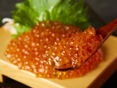 超豪華!船上海鮮ぶっかけ飯 上/特上