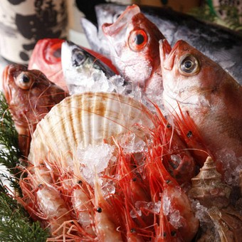 北海道産直だからできる鮮度と価格