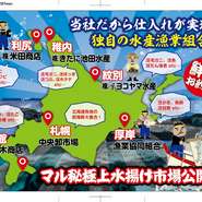 海鮮家はこだてのこだわりは素材そのものの鮮度が抜群でモノがいいこと。厳選仕入れした一品一品のみを使用しております！　活イカは松前から毎日直送！　選び抜かれた活イカの鮮度あふれる透明感、美味しさは必食！