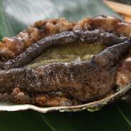 前日20時迄要予約
２名様～
税込価格

※漁の状況により内容を変更する場合がございます。

※活イカが不漁かつ高騰が続いている為、入荷しないことが多々ございます。
コース内容に活イカはつきません！
ご要望の場合は別途ご注文頂くことになります。
入荷がある場合は、コースにオプションとして追加することができます。