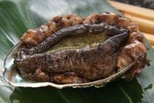～北の贅沢をプラス～
鮮と技が活きる北国の味覚「北海道料理」を御堪能ください！