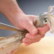 活イカ・活蟹・うになど、北海道産の新鮮な食材にこだわりあり！

海鮮家はこだてのこだわりは素材そのものの鮮度が抜群でモノがいいこと！
厳選仕入れした一品一品のみを使用しております！
活イカは松前から毎日直送！選び抜かれた活イカの鮮度あふれる透明感、美味しさは必食！
