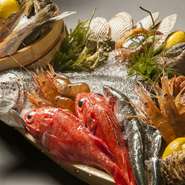 北海道の海の幸を「旬」を大切にしながら厳選仕入れしております！

新鮮な活魚をはじめ、産地や旬にこだわって選ぶ北海道の海の幸の数々！当店はその時その季節に最も美味しいもの厳選仕入れし、お客様へご提供させていただいております。職人の確かな目を実感してください！
