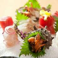 毎日変わるおすすめ鮮魚のお造りはお二人様分～、人数・ご予算に合わせて対応します。※内容・金額は仕入れにより変わります。