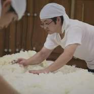 美味しい「日本酒」をつくるため、繊細な醪(もろみ)の管理を徹底