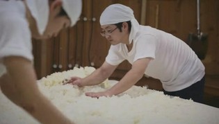 美味しい「日本酒」をつくるため、繊細な醪(もろみ)の管理を徹底