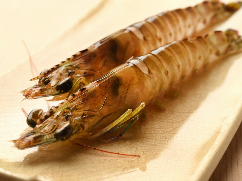 車海老など定番は常にいいものがご提供できるように