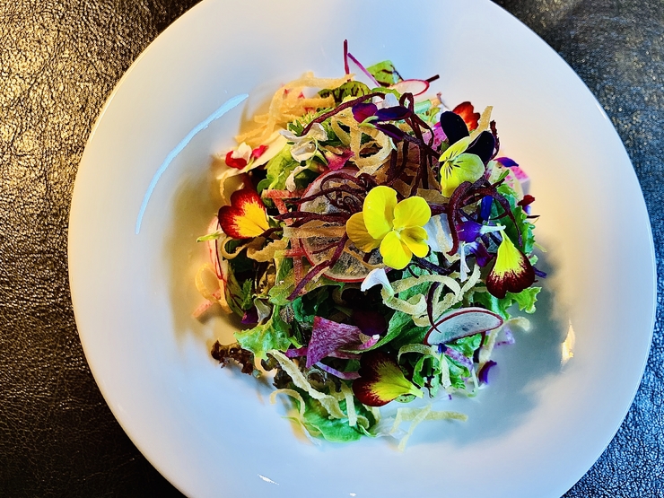  신가격 몬 파보리/mon favori