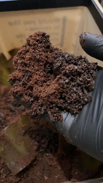 In addition to the effective use of ingredients, we aim to create a food cycle where waste ingredients are turned into fertilizer.