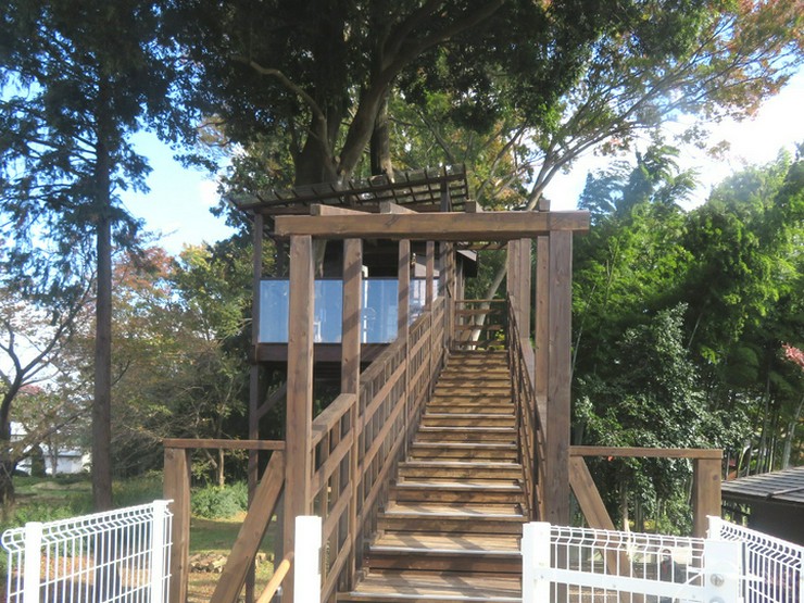 ツリーハウスカフェ Nicorico 所沢 軽食 その他グルメ の料理 店内写真 ヒトサラ