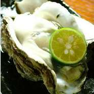 ほのかな苦みと濃厚な旨味を含んだ、丸々とした大きなカキを頬張る幸せ。磯の香りが口いっぱいに広がります。