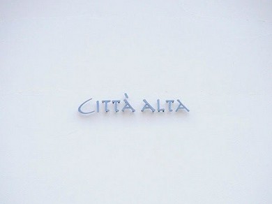 大切な人の笑顔がこぼれる。そんな温かな空気感に満ちています