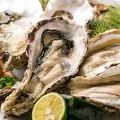 広島産の大粒の牡蠣はぷりぷりの歯応えと濃厚な味わいをお愉しみ下さい。