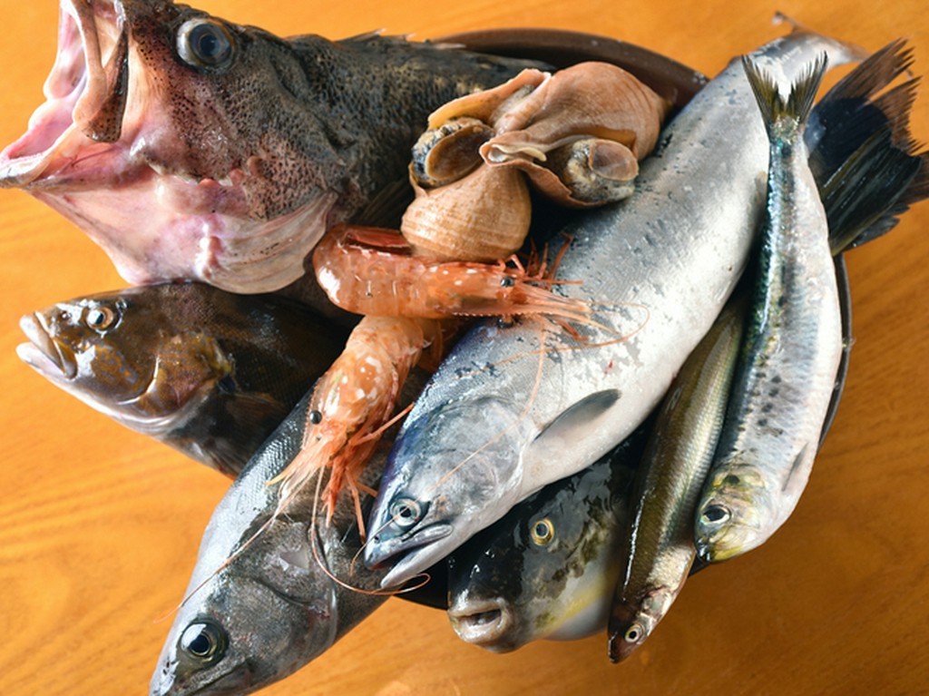 南茅部や噴火湾など、豊かな漁場に恵まれた函館近海の地魚