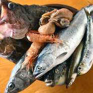 函館近海には豊かな漁場が数多くあります。季節によって異なりますが、南茅部ではシマゾイ、アブラコ、ヤリイカなど、噴火湾ではイワシやアンコウ、真フグなどが採れることも。地場にはいい野菜もたくさんあります。