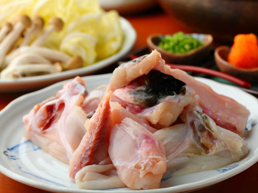 フグは低カロリー、高たんぱく、コラーゲンたっぷりの優秀食材