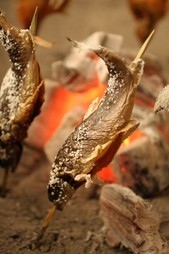 新潟県南魚沼産 岩魚の天然塩焼き